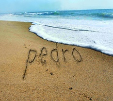 pedro